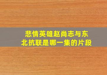 悲情英雄赵尚志与东北抗联是哪一集的片段