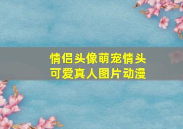 情侣头像萌宠情头可爱真人图片动漫