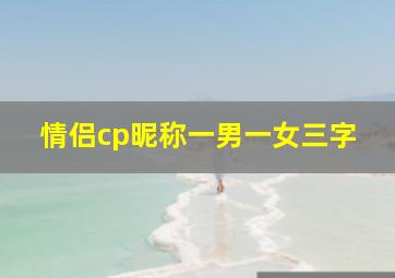 情侣cp昵称一男一女三字