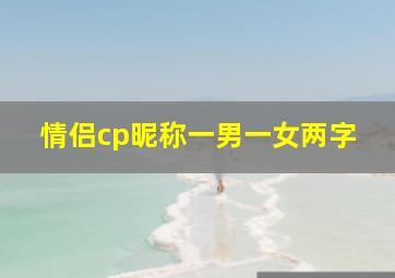 情侣cp昵称一男一女两字