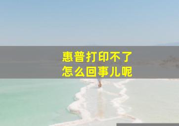 惠普打印不了怎么回事儿呢