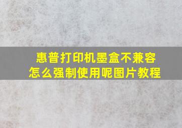 惠普打印机墨盒不兼容怎么强制使用呢图片教程