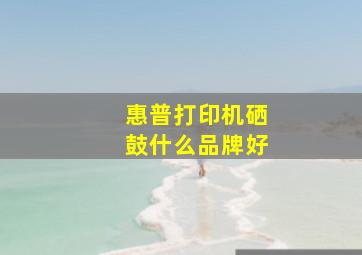 惠普打印机硒鼓什么品牌好