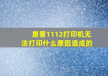 惠普1112打印机无法打印什么原因造成的