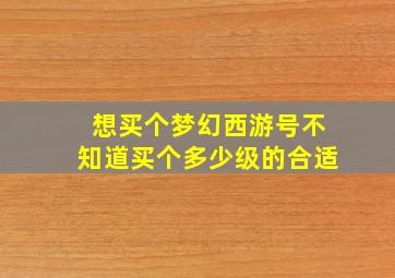 想买个梦幻西游号不知道买个多少级的合适