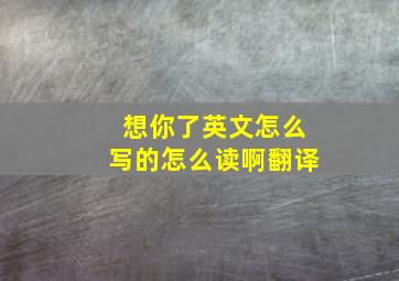 想你了英文怎么写的怎么读啊翻译