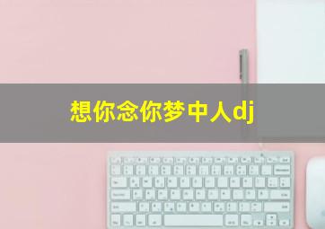 想你念你梦中人dj