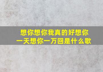 想你想你我真的好想你一天想你一万回是什么歌