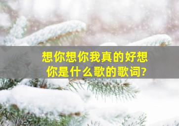 想你想你我真的好想你是什么歌的歌词?