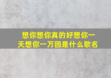 想你想你真的好想你一天想你一万回是什么歌名