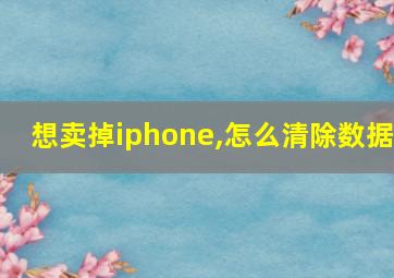 想卖掉iphone,怎么清除数据