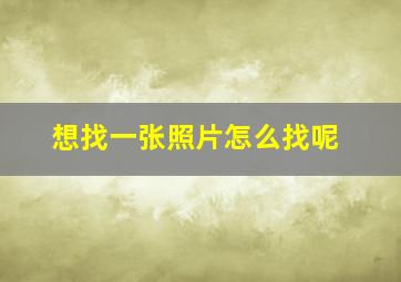 想找一张照片怎么找呢