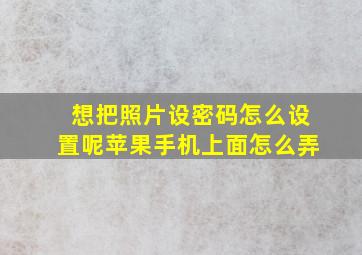 想把照片设密码怎么设置呢苹果手机上面怎么弄