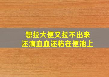 想拉大便又拉不出来还滴血血还粘在便池上