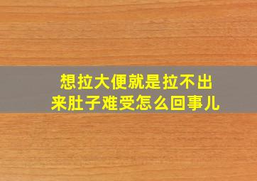 想拉大便就是拉不出来肚子难受怎么回事儿