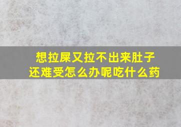 想拉屎又拉不出来肚子还难受怎么办呢吃什么药