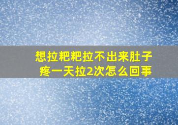 想拉粑粑拉不出来肚子疼一天拉2次怎么回事