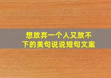 想放弃一个人又放不下的美句说说短句文案