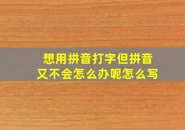 想用拼音打字但拼音又不会怎么办呢怎么写