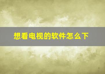 想看电视的软件怎么下