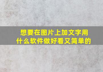 想要在图片上加文字用什么软件做好看又简单的