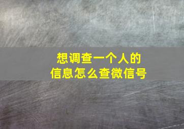 想调查一个人的信息怎么查微信号