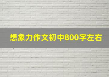 想象力作文初中800字左右