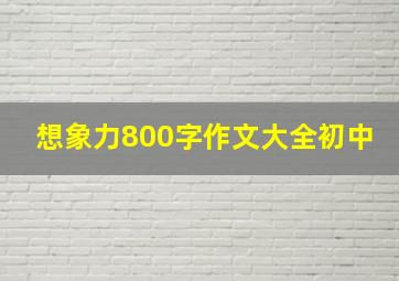 想象力800字作文大全初中