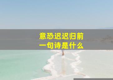 意恐迟迟归前一句诗是什么