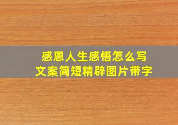 感恩人生感悟怎么写文案简短精辟图片带字