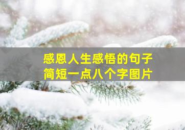 感恩人生感悟的句子简短一点八个字图片