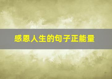 感恩人生的句子正能量