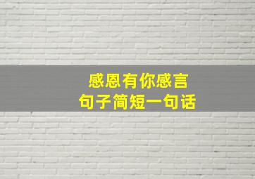 感恩有你感言句子简短一句话