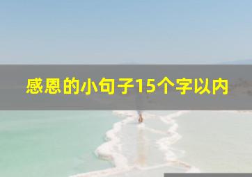 感恩的小句子15个字以内