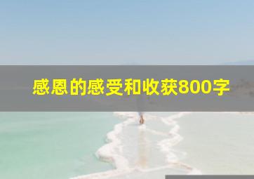 感恩的感受和收获800字