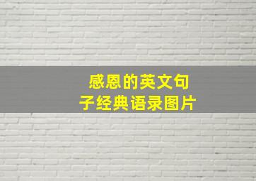 感恩的英文句子经典语录图片