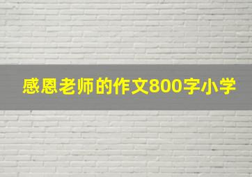 感恩老师的作文800字小学