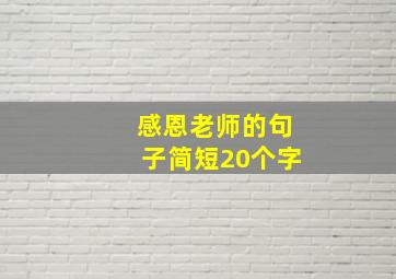 感恩老师的句子简短20个字