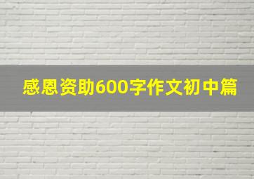 感恩资助600字作文初中篇