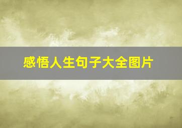 感悟人生句子大全图片