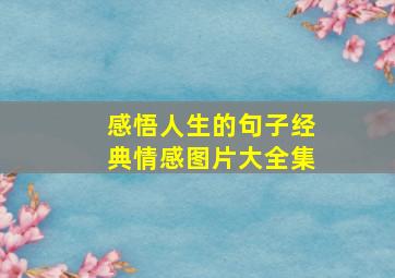 感悟人生的句子经典情感图片大全集