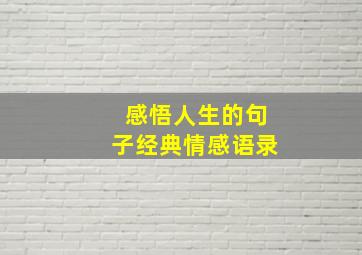 感悟人生的句子经典情感语录