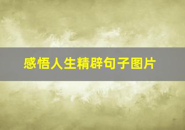 感悟人生精辟句子图片