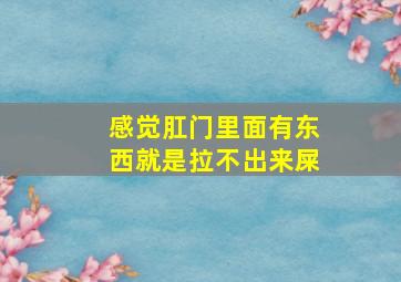 感觉肛门里面有东西就是拉不出来屎