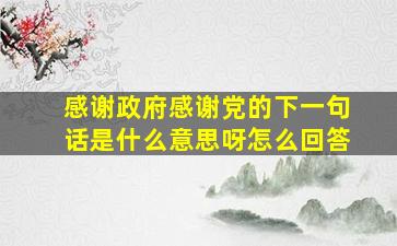 感谢政府感谢党的下一句话是什么意思呀怎么回答