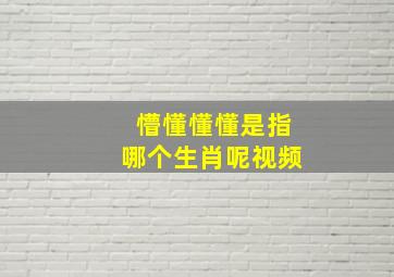 懵懂懂懂是指哪个生肖呢视频