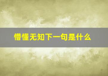 懵懂无知下一句是什么