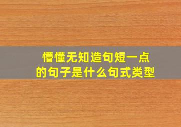 懵懂无知造句短一点的句子是什么句式类型