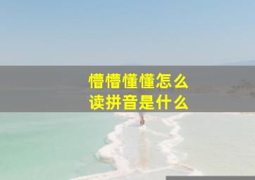 懵懵懂懂怎么读拼音是什么