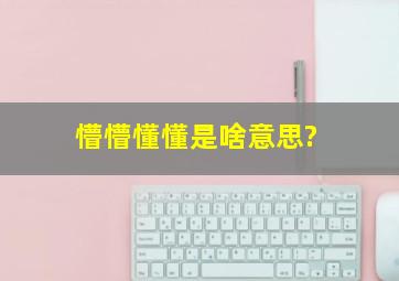 懵懵懂懂是啥意思?